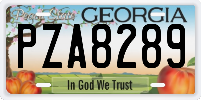 GA license plate PZA8289