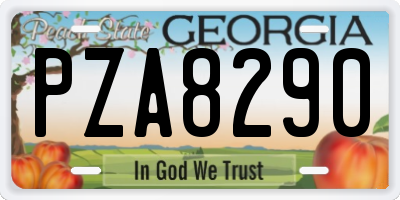 GA license plate PZA8290