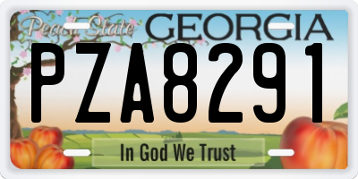 GA license plate PZA8291