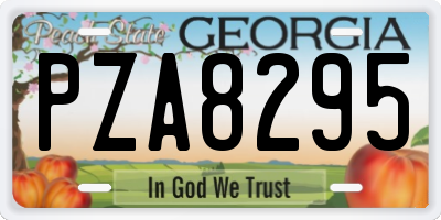 GA license plate PZA8295