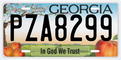 GA license plate PZA8299