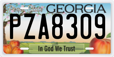 GA license plate PZA8309