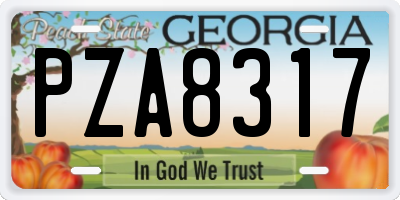 GA license plate PZA8317