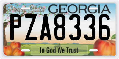 GA license plate PZA8336