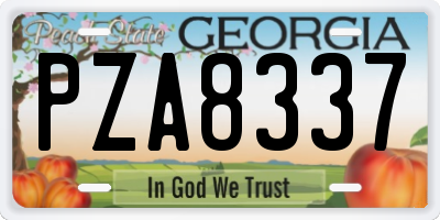 GA license plate PZA8337