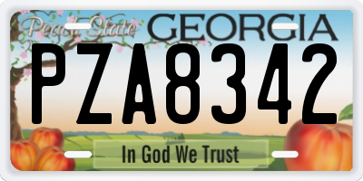 GA license plate PZA8342