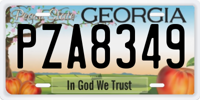 GA license plate PZA8349