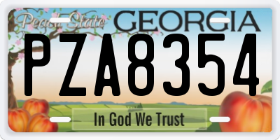 GA license plate PZA8354