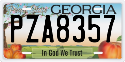 GA license plate PZA8357