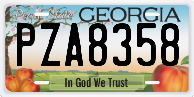 GA license plate PZA8358