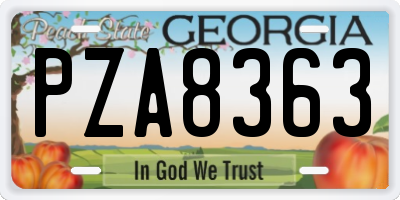 GA license plate PZA8363