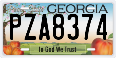 GA license plate PZA8374