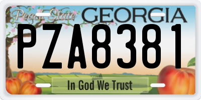 GA license plate PZA8381