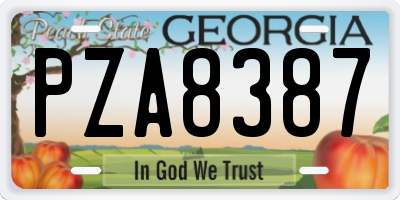 GA license plate PZA8387