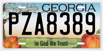 GA license plate PZA8389