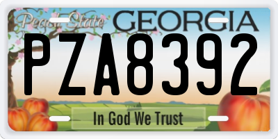 GA license plate PZA8392