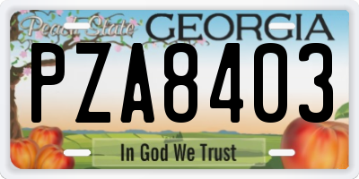 GA license plate PZA8403