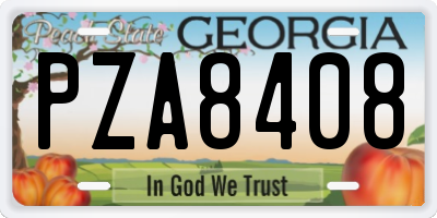 GA license plate PZA8408