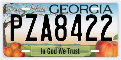 GA license plate PZA8422
