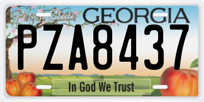 GA license plate PZA8437