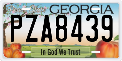 GA license plate PZA8439