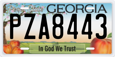 GA license plate PZA8443