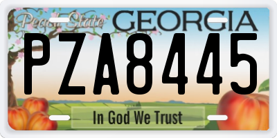 GA license plate PZA8445