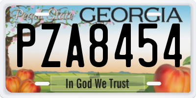GA license plate PZA8454