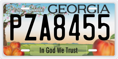 GA license plate PZA8455