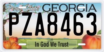 GA license plate PZA8463