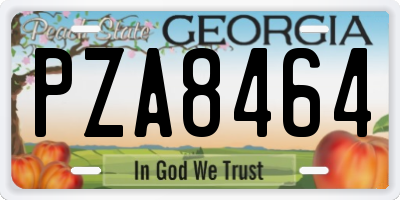 GA license plate PZA8464