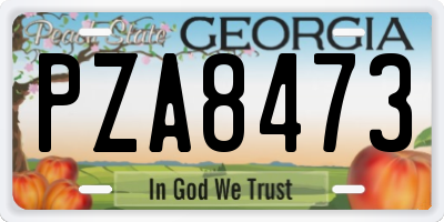 GA license plate PZA8473