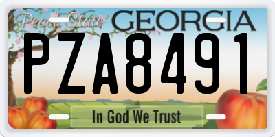 GA license plate PZA8491