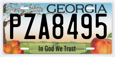 GA license plate PZA8495