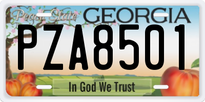 GA license plate PZA8501