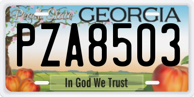GA license plate PZA8503
