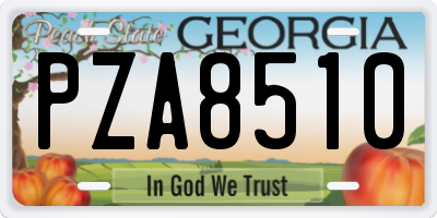 GA license plate PZA8510