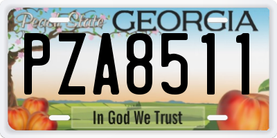 GA license plate PZA8511