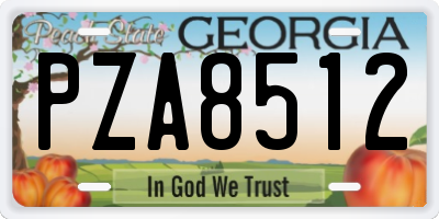 GA license plate PZA8512