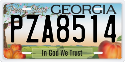 GA license plate PZA8514