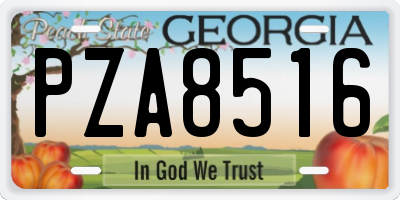 GA license plate PZA8516