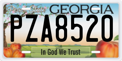 GA license plate PZA8520