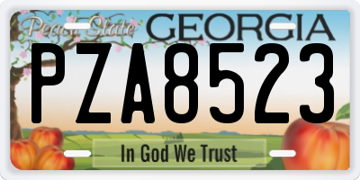 GA license plate PZA8523