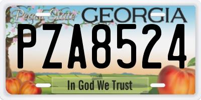 GA license plate PZA8524