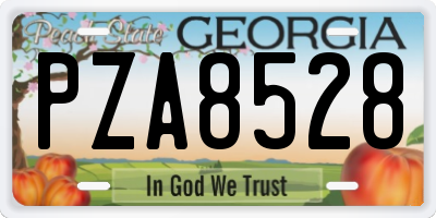GA license plate PZA8528