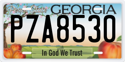 GA license plate PZA8530