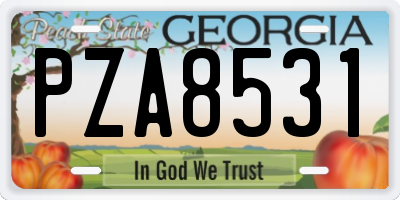 GA license plate PZA8531