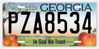 GA license plate PZA8534