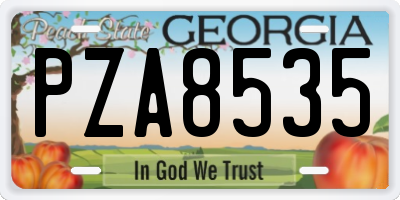 GA license plate PZA8535