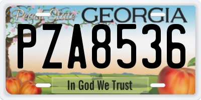 GA license plate PZA8536